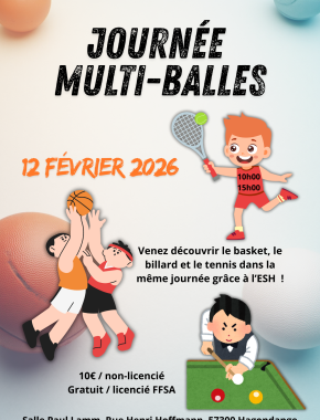 Journée multi-balles